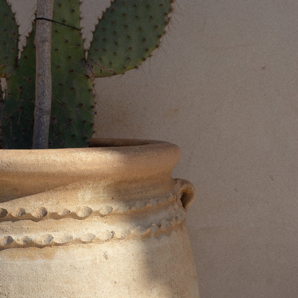 Room One ✴︎ twin